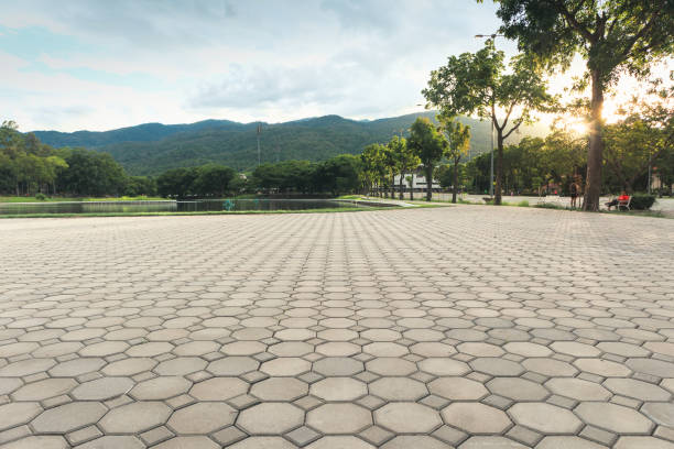 Best Residential Driveway Paver Services  in Potterville, MI